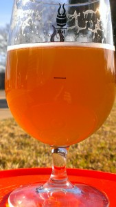Fly Ralcon Sample, a Rye IPA with Calypso hops